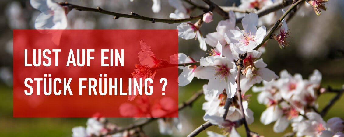 Frühling rot